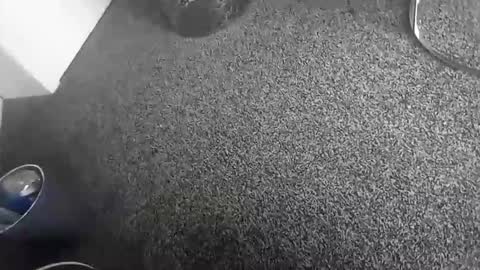 davidf75 online show from 11-17-25, 10:43