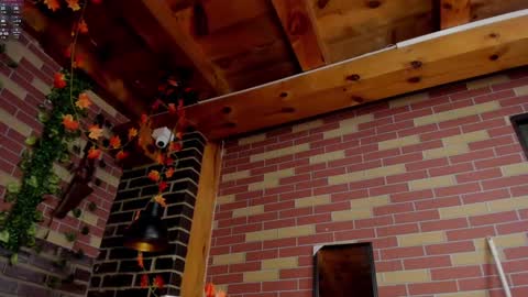 DAYRA ANGELS online show from 12-01-24, 11:58