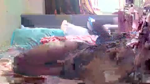 debbyslatter online show from 02-21-25, 09:13