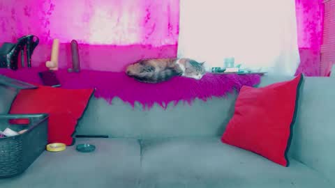 deboragill online show from 03-13-26, 10:05