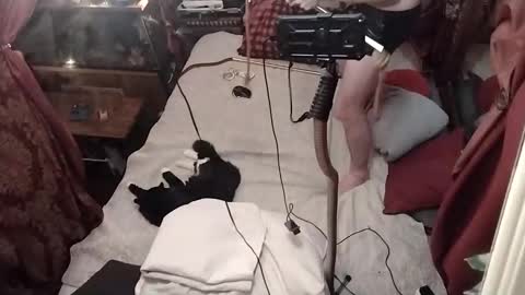 nik and cherry online show from 01-04-25, 04:44