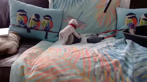 Snapshot of deeperjohnny chatting on 10-21-25, 03:35 deeperjohnny online show from 10-21-25, 03:35