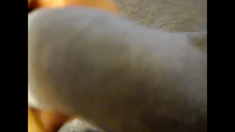 deliv_shopi online show from 11-25-25, 04:18