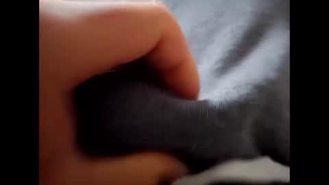 deliv_shopi online show from 12-01-25, 09:47