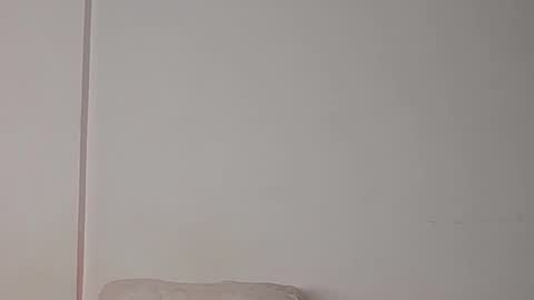 Snapshot of denzo_cornell chatting on 10-27-25, 04:05 denzo online show from 10-27-25, 04:05