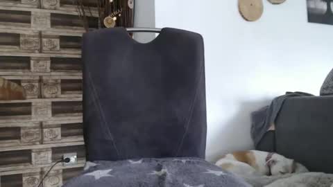 despotar123 online show from 10-07-25, 11:18