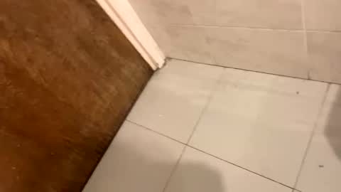 destrosandotelculo online show from 11-09-25, 08:45