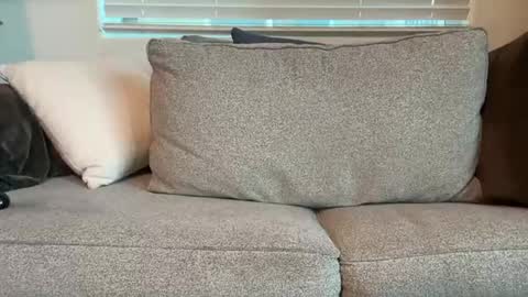 dgafsd online show from 12-15-25, 03:27