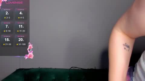 Snapshot of dianne_davis chatting on 01-25-25, 02:36 Dianne online show from 01-25-25, 02:36