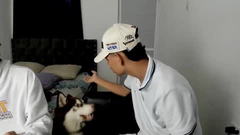 dick online show from 12-02-25, 12:10