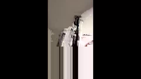 Snapshot of dickdiesel1989 chatting on 11-02-25, 01:08 dickdiesel1989 online show from 11-02-25, 01:08