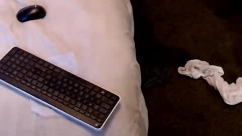 Sparkx online show from 12-22-25, 04:31