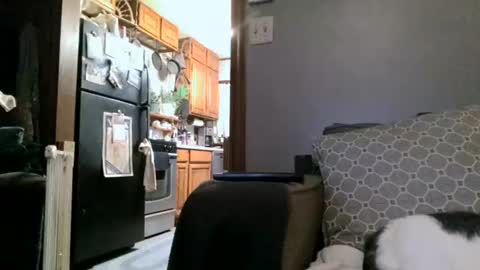 dickwack4u online show from 01-04-25, 04:01