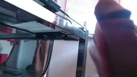 squirtcock online show from 03-19-26, 08:29