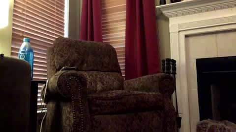 Snapshot of diegodavids chatting on 01-31-25, 03:55 diegodavids online show from 01-31-25, 03:55