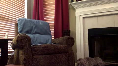 Snapshot of diegodavids chatting on 02-06-25, 03:20 diegodavids online show from 02-06-25, 03:20