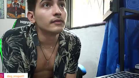 Snapshot of diegorogue_ chatting on 02-13-25, 04:50 Diego rogue online show from 02-13-25, 04:50