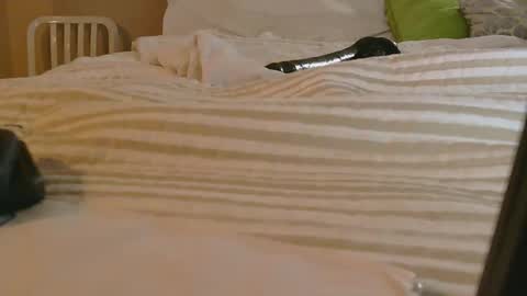 dildosnme22 online show from 02-09-26, 11:14