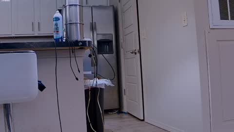 Dilldough405 online show from 01-29-25, 06:07