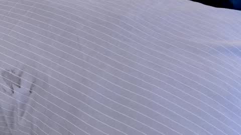 Dilldough405 online show from 02-24-25, 07:55