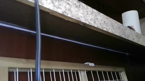 Sofie online show from 02-28-25, 05:48