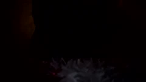 dingler523482 online show from 12-17-25, 06:41