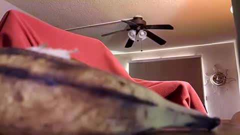 DIPSTIK online show from 10-09-25, 06:17