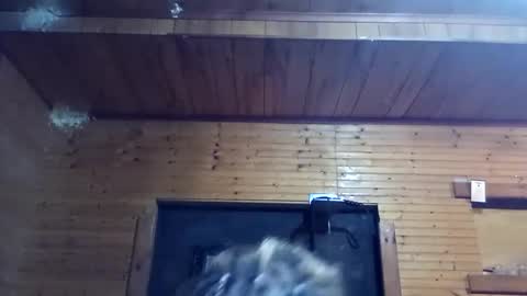 dollface_89 online show from 09-29-25, 03:00