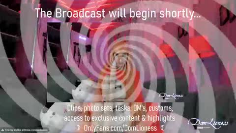 DomLioness online show from 10-31-25, 11:17