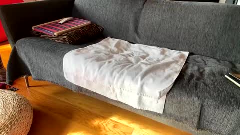 Alfredo online show from 12-04-25, 10:13