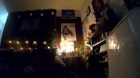 Sapphire Fox online show from 10-02-25, 08:32