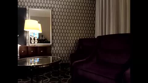 donwyan4 online show from 10-11-25, 09:52