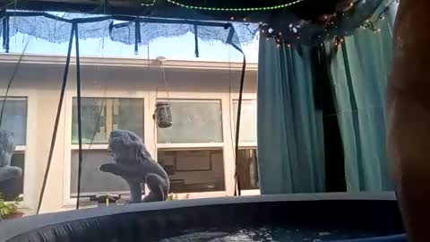 doobie1717 online show from 09-28-25, 12:43