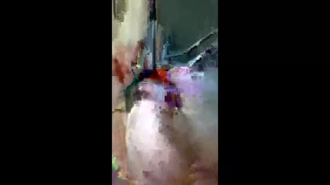 doogie215 online show from 03-03-26, 12:50