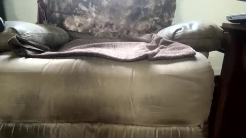 dotcom0062 online show from 11-15-25, 06:26