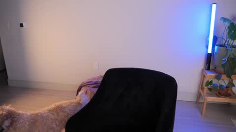 Snapshot of doubedeesarai chatting on 10-18-25, 02:36 Sara online show from 10-18-25, 02:36