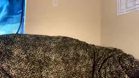 dove_love22 online show from 11-30-25, 09:19