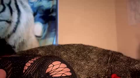 dove_love22 online show from 01-09-26, 10:22