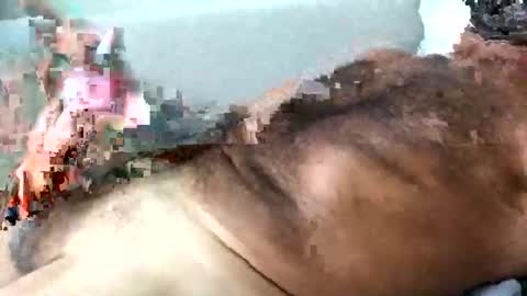 dpbbb online show from 11-15-25, 10:23