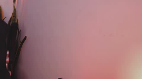 Snapshot of drake_cole11 chatting on 02-04-25, 03:22 drake_cole11 online show from 02-04-25, 03:22
