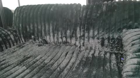 Snapshot of drayanicole1 chatting on 03-09-25, 11:25 Draya Nicole online show from 03-09-25, 11:25