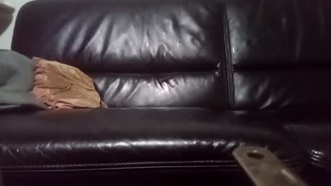 Snapshot of drbretholding chatting on 02-20-25, 03:56 Carsten Tenberg online show from 02-20-25, 03:56