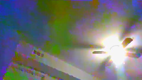 Snapshot of dream1dog chatting on 01-13-25, 11:17 dream1dog online show from 01-13-25, 11:17