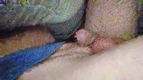 drew8649890274 online show from 11-03-25, 03:41