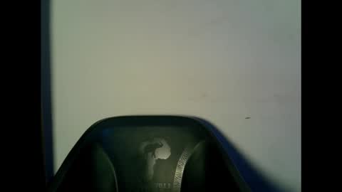 Snapshot of drippingpussy__ chatting on 10-15-25, 11:21 drippingpussy__ online show from 10-15-25, 11:21