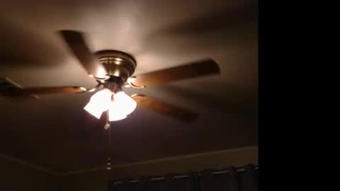 WetFilipinaPussy online show from 11-09-25, 11:58