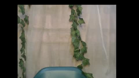 linda online show from 10-16-25, 01:12