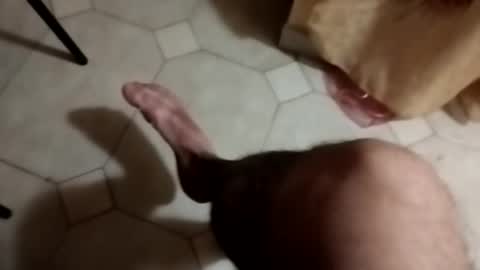 dthedog12 online show from 09-22-25, 09:28