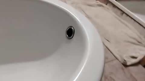 dthedog12 online show from 11-01-25, 10:12