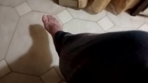 dthedog12 online show from 11-04-25, 11:48